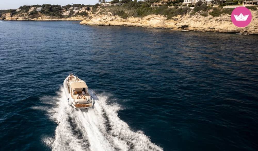 Entdecken Sie Mallorca: Eine ganztägige Erkundung der Küstenwunder der Insel