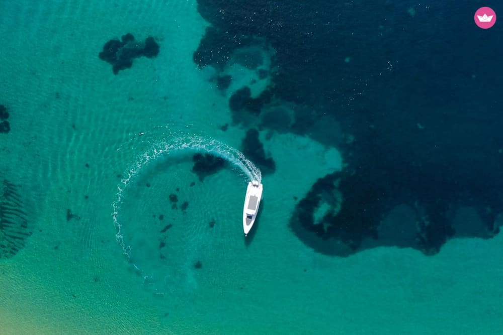 Un assaggio della costa selvaggia: una fuga di mezza giornata dalle rose