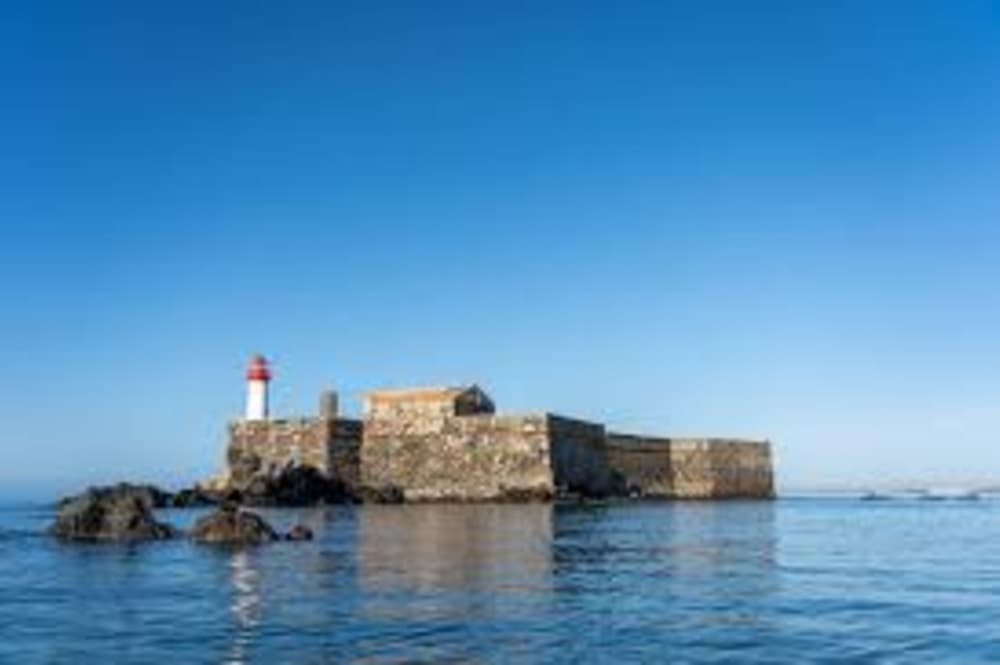 Morning Sailing Adventure