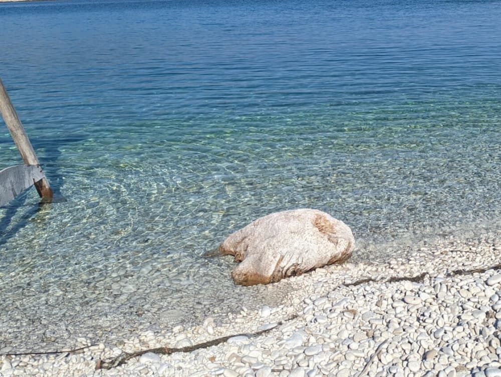 Prywatna wycieczka łodzią Zlatni Rat – całodniowa wycieczka z Makarskiej