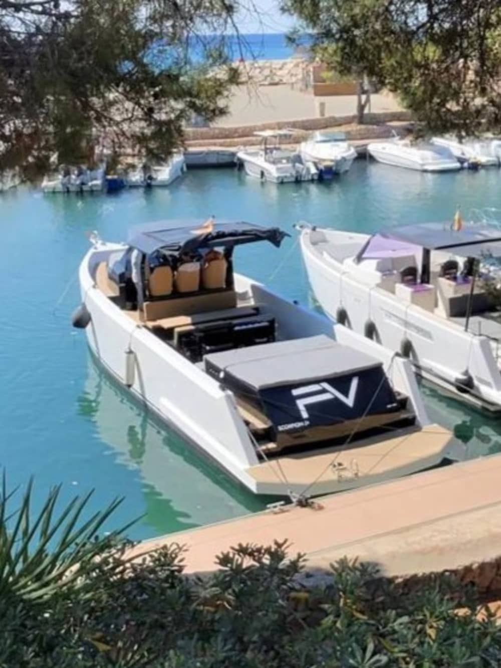 Scorpion Freedom V 50ft (2023) | 900HP Luxury on the Gold Coast