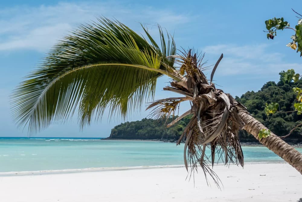 Snorkeling e vista sull'isola - Mitsio 8 ore