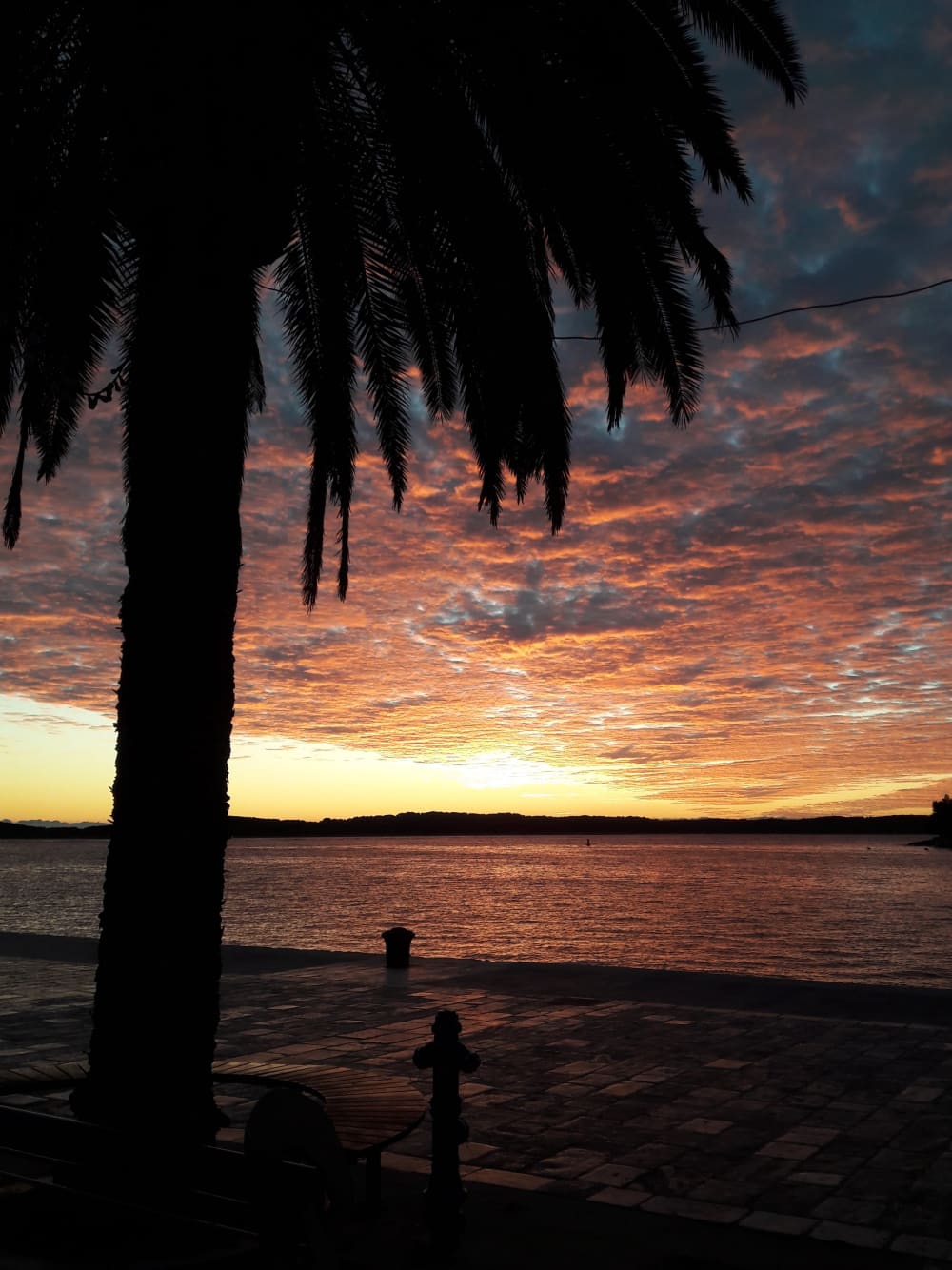 Goditi un'esperienza di sette ore lungo la costa di Hvar.