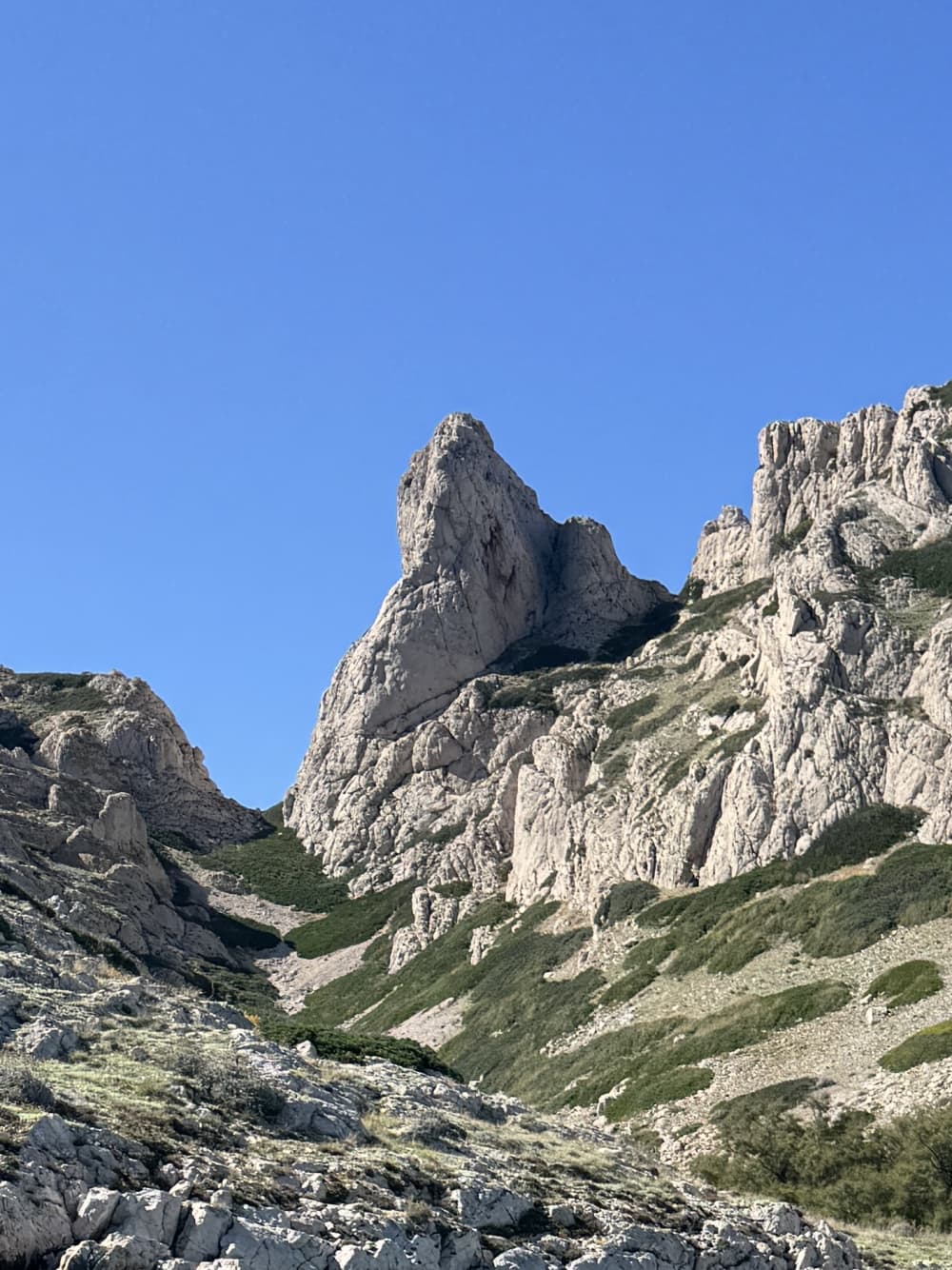 Visit to the Calanques of Marseille for up to 7 people