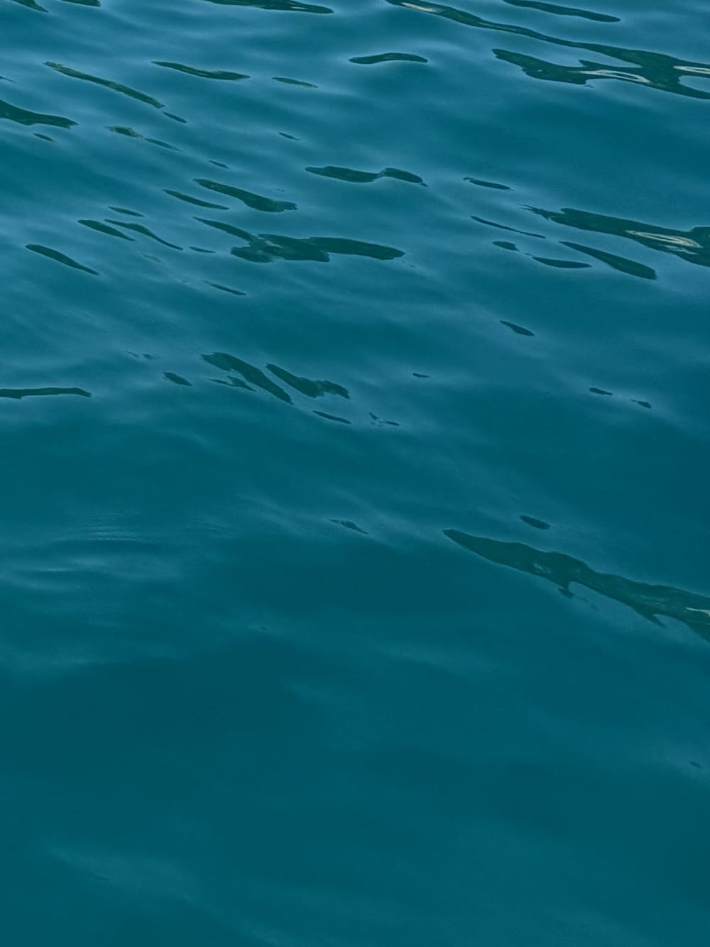 Visite des Calanques de Marseille jusqu’à  7 personnes