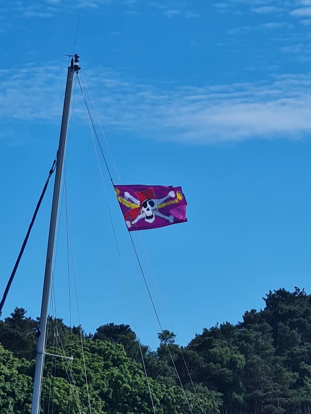 Croisière panoramique de 6 heures dans le port de Poole