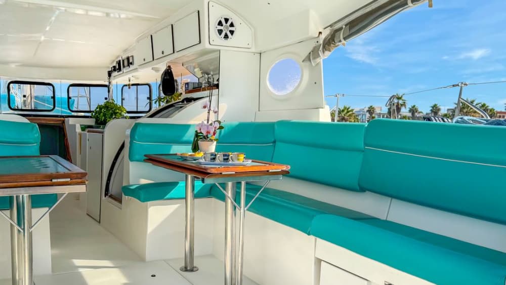 Tavolara and Molara in search of dolphins: a full day adventure in Monomaran