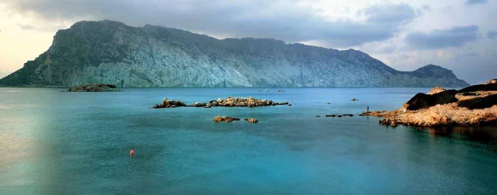 Tavolara and Molara in search of dolphins: a full day adventure in Monomaran