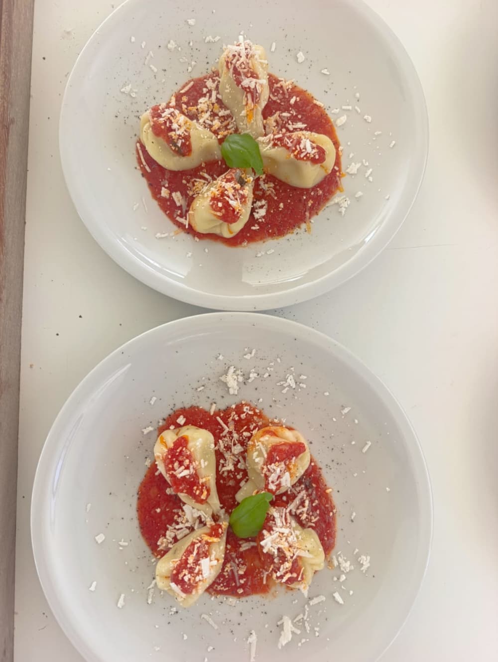 Tavolara and Molara in search of dolphins: a full day adventure in Monomaran