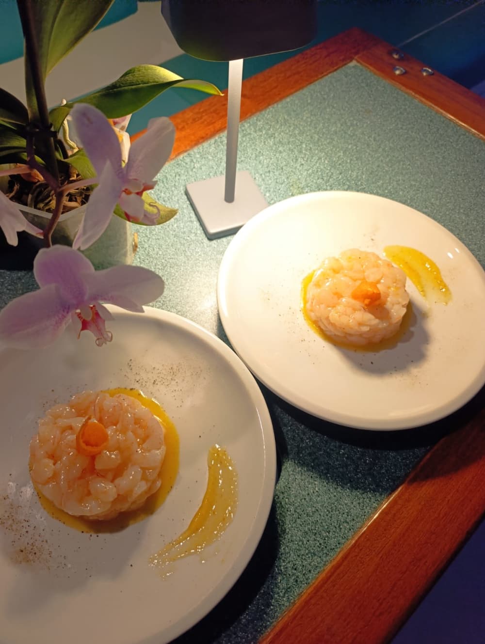 Tavolara and Molara in search of dolphins: a full day adventure in Monomaran