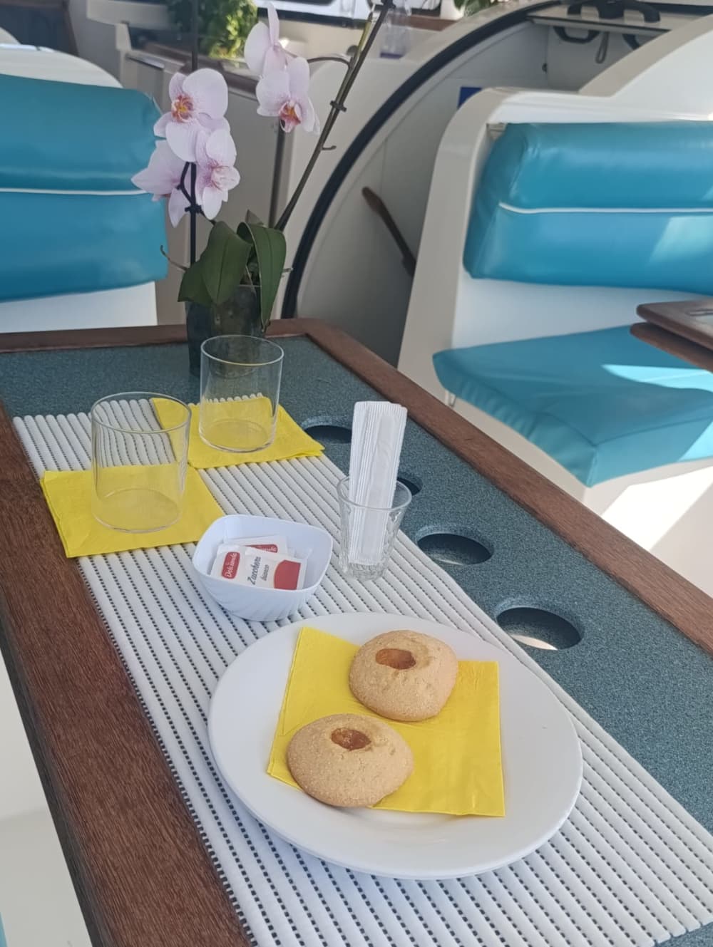 Tavolara and Molara in search of dolphins: a full day adventure in Monomaran