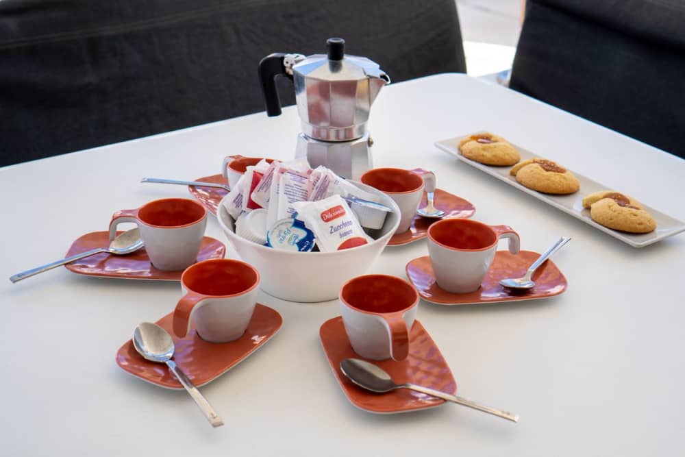 Tavolara and Molara in search of dolphins: a full day adventure in Monomaran