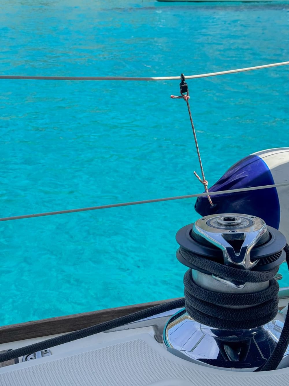 Tavolara and Molara in search of dolphins: a full-day adventure on a 15-meter sailing boat.