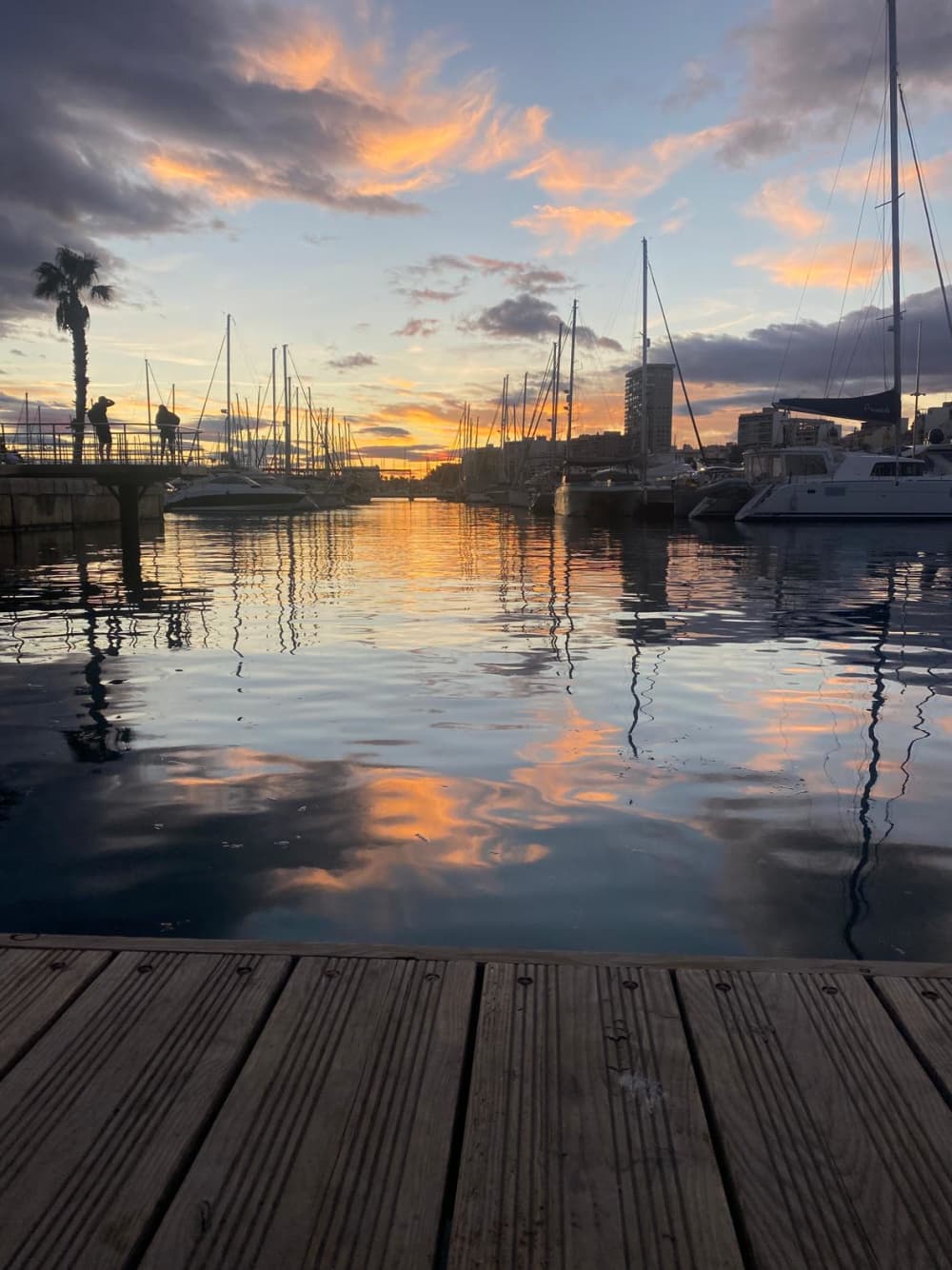Descubre las Calas del Este – Tour de Snorkel de 4 Horas desde Alicante
