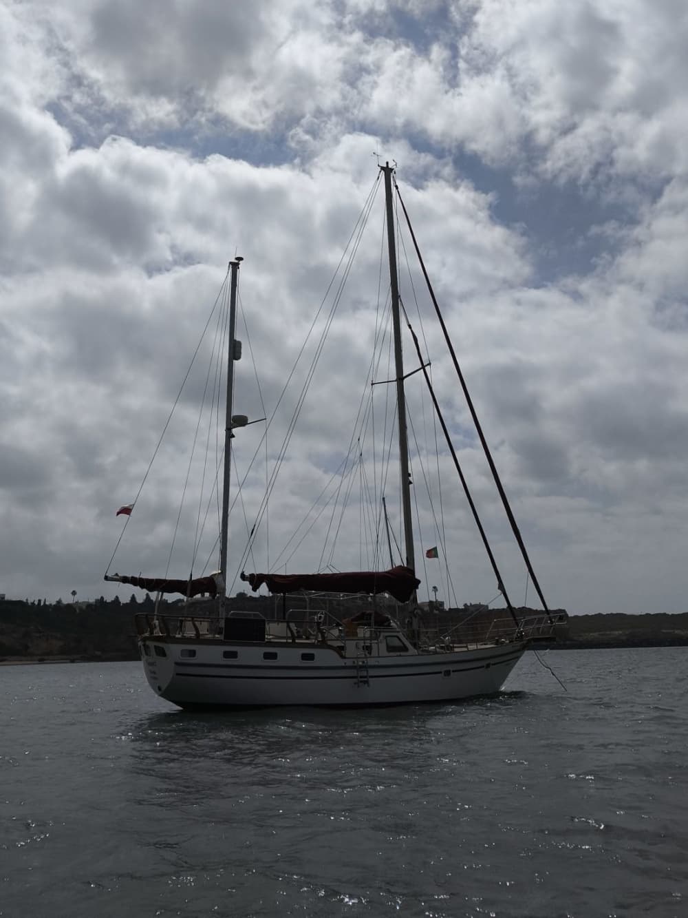 Taste the Coast – 3H Wine & Petiscos Cruise