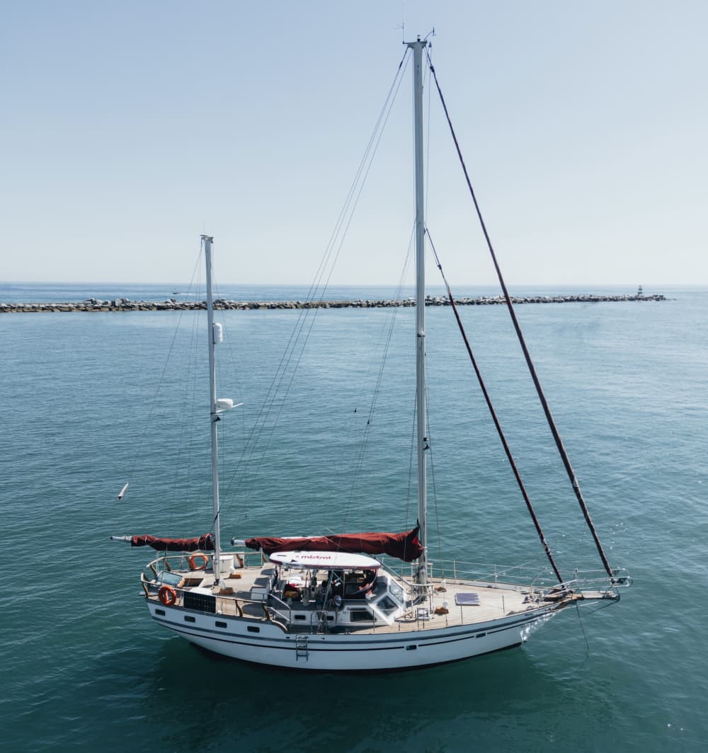 Remos, Gruta y Gourmet: 4 horas de pura libertad costera