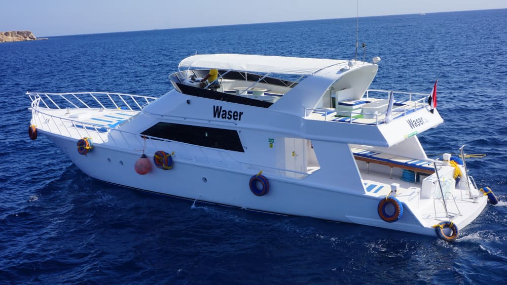 Private Cruise to Tiran Island & Snorkeling Tour - Up to 10 People - From 9 am to 3 pm