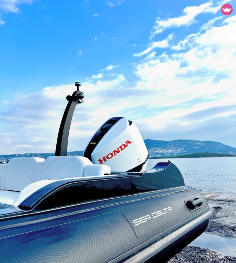 Shipwreck & Turtle Island – Private Half-Day Cruise from Zakynthos