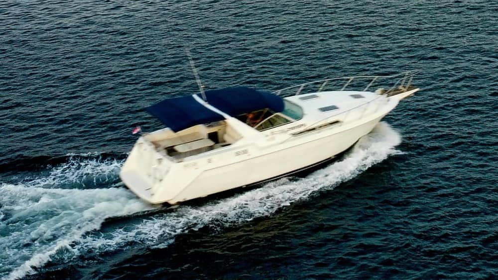 Exklusive 5-stündige private Bootstour: Erkunden Sie den Brijuni-Nationalpark, die Gewässer von Pula und versteckte Buchten (Beginn um 9.30 oder 15.30 Uhr)