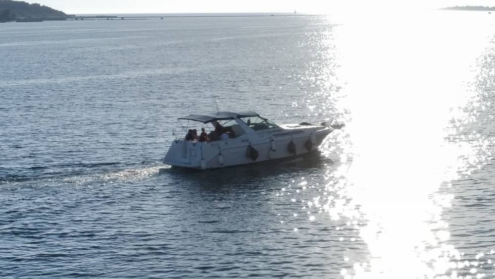 Exklusive 5-stündige private Bootstour: Erkunden Sie den Brijuni-Nationalpark, die Gewässer von Pula und versteckte Buchten (Beginn um 9.30 oder 15.30 Uhr)