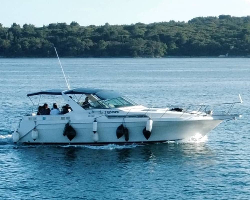 Exklusive 5-stündige private Bootstour: Erkunden Sie den Brijuni-Nationalpark, die Gewässer von Pula und versteckte Buchten (Beginn um 9.30 oder 15.30 Uhr)