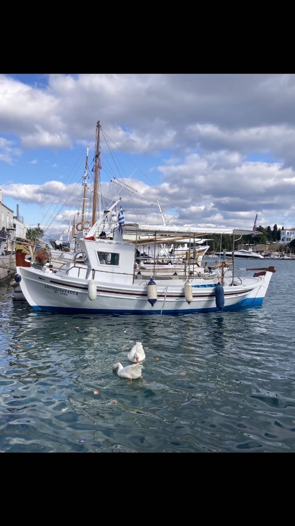 Profitez d'une excursion d'une demi-journée autour de Spetses en bateau à moteur.