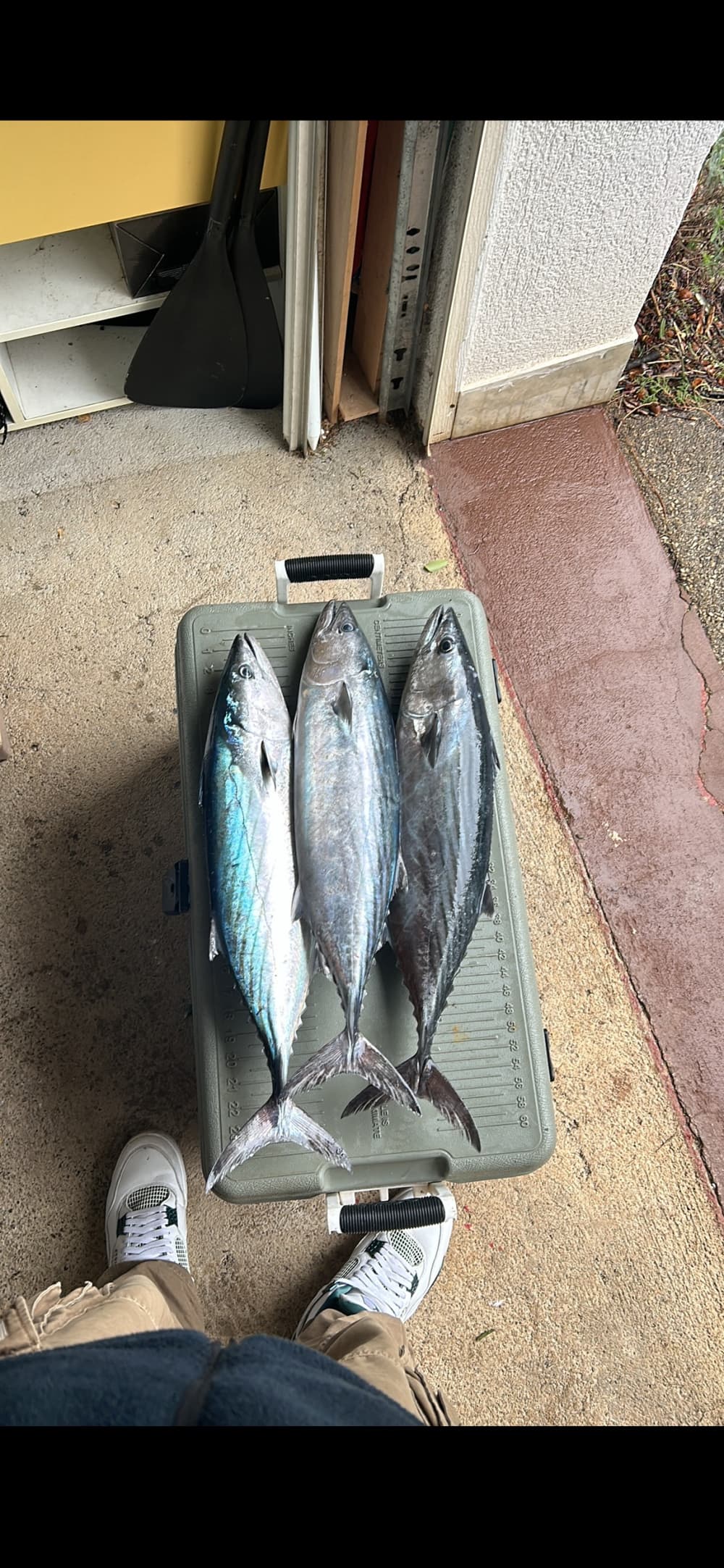 Upptäck Senj på en heldagstur med motorbåt