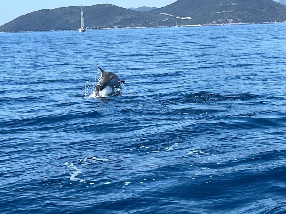 Express-Tour zur Bucht von Kotor und zur Inselgruppe Unserer Lieben Frau vom Felsen (max. 8 Passagiere)