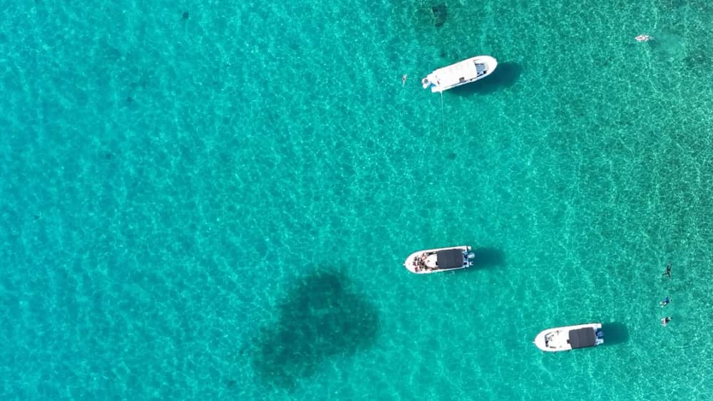 Zadar Half-Day Boat Tour: Snorkel, Swim & Visit Scenic Bays and Villages