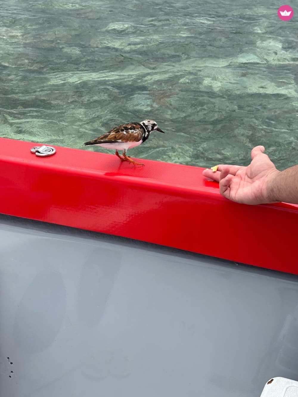 Vivez un coucher de soleil magique en mer, entre détente et émerveillement sur la mer des Caraïbes
