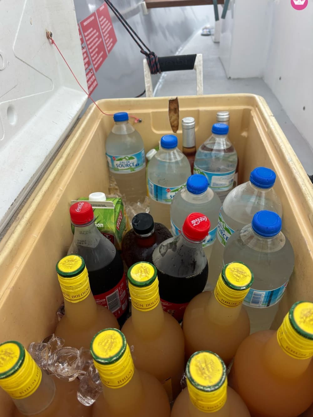 Vivez un coucher de soleil magique en mer, entre détente et émerveillement sur la mer des Caraïbes