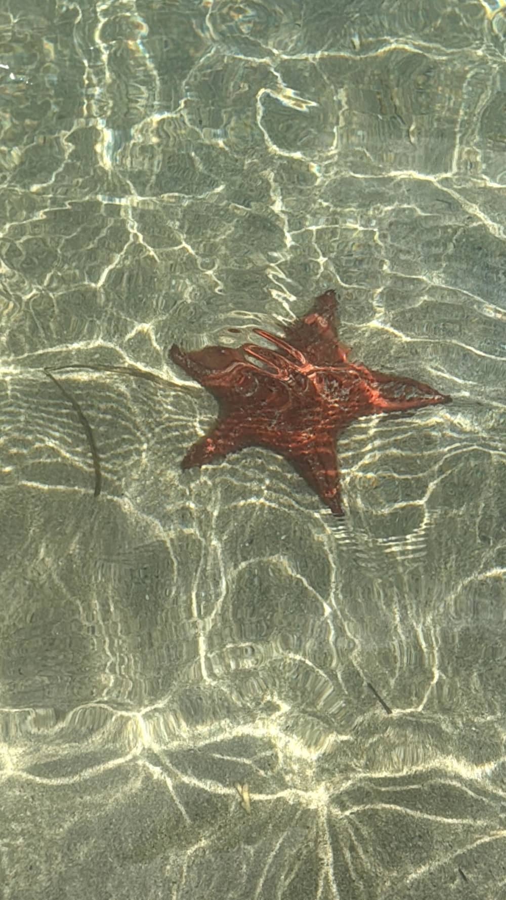 Vivez un coucher de soleil magique en mer, entre détente et émerveillement sur la mer des Caraïbes