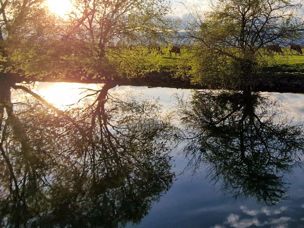 Celebrate an unforgettable birthday on the lake – from 2 a.m. to 8 a.m.