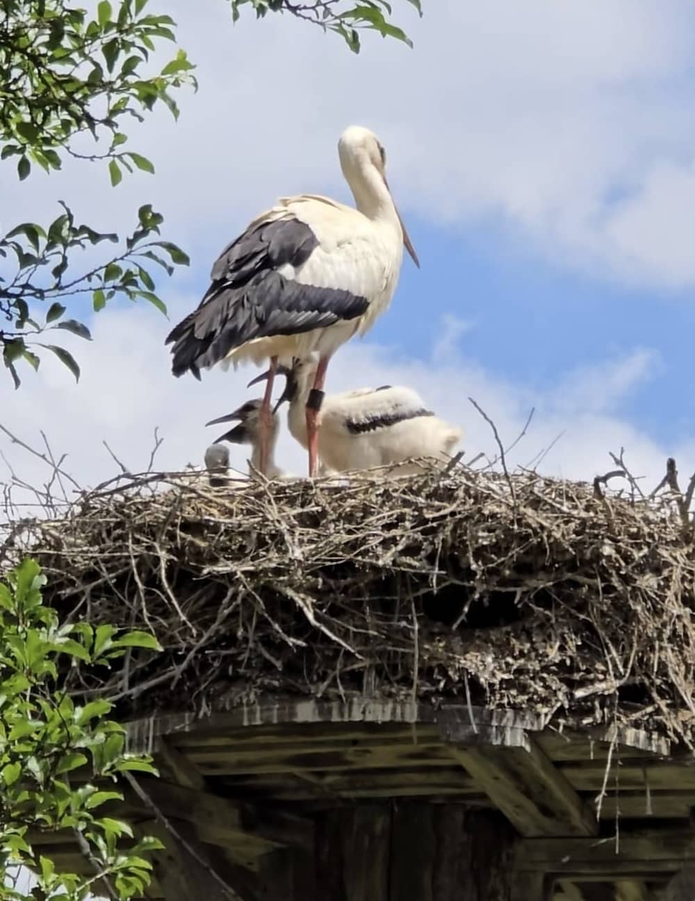 Journée d’exception – Lacs, canaux et Soleure (12h)