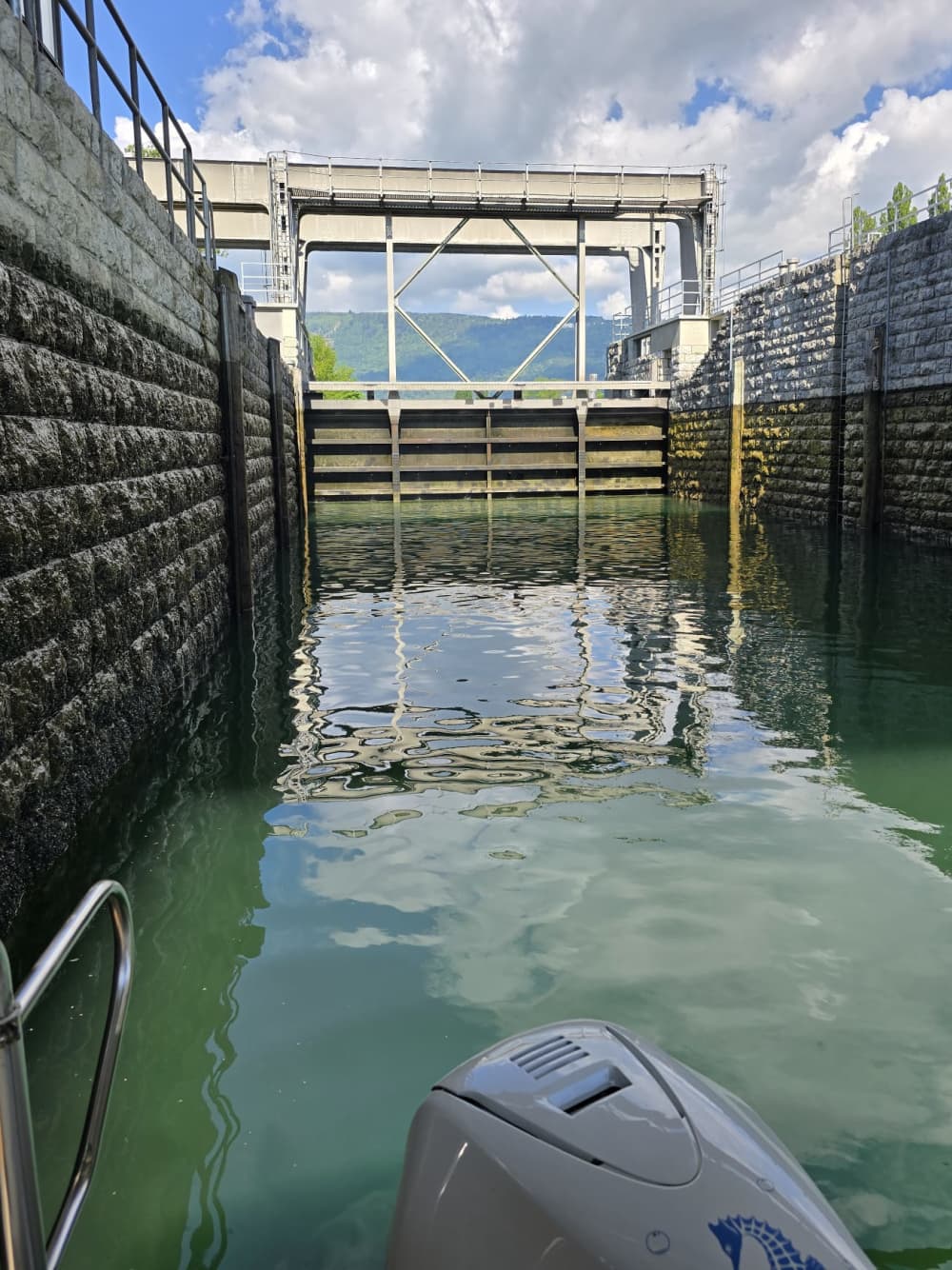 Sortie printanière – À la rencontre des cigognes d’Altreu (12h)