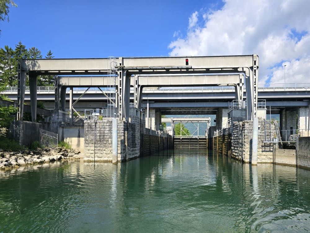 Sortie printanière – À la rencontre des cigognes d’Altreu (12h)