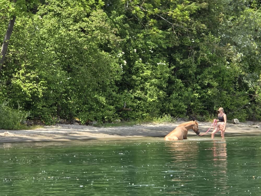Journée d’exception – Lacs, canaux et Soleure (12h)