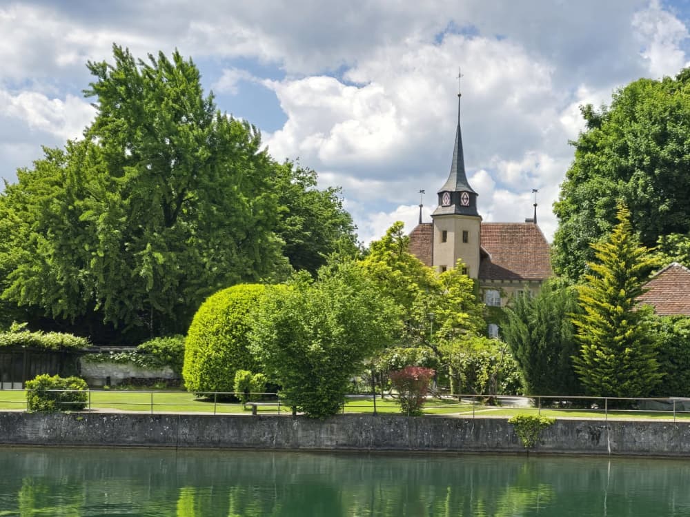 Sortie printanière – À la rencontre des cigognes d’Altreu (12h)