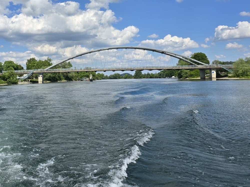 Sortie printanière – À la rencontre des cigognes d’Altreu (12h)