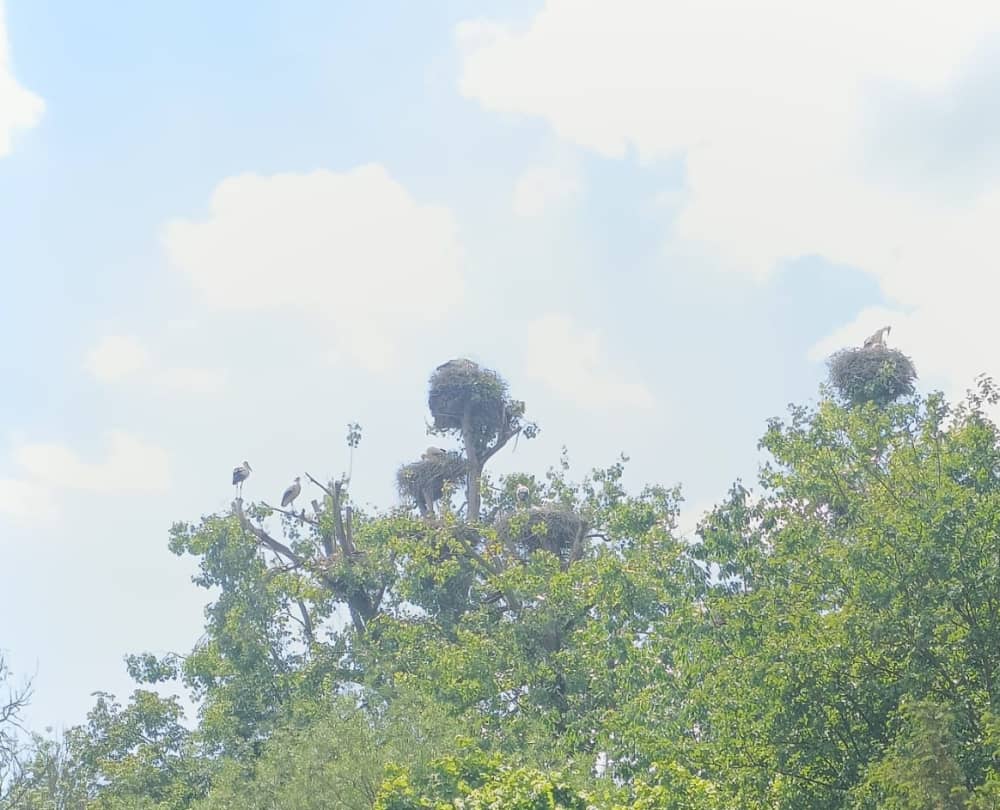 Journée d’exception – Lacs, canaux et Soleure (12h)