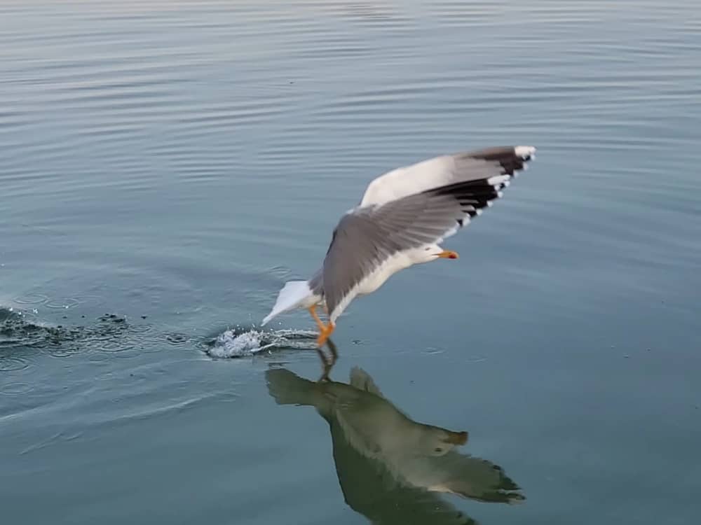 Journée d’exception – Lacs, canaux et Soleure (12h)