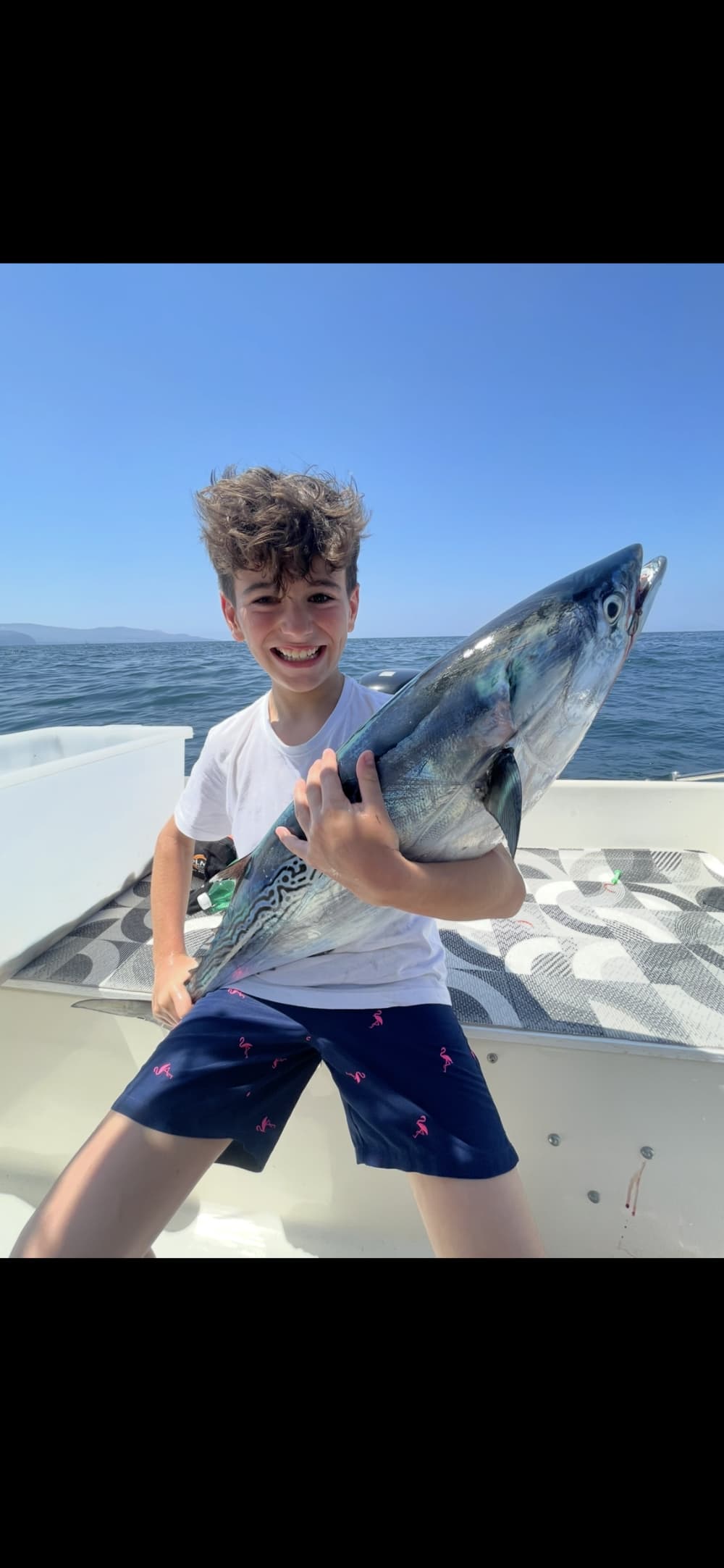 Pesca nel Golfo: alla ricerca delle biodiversità marine