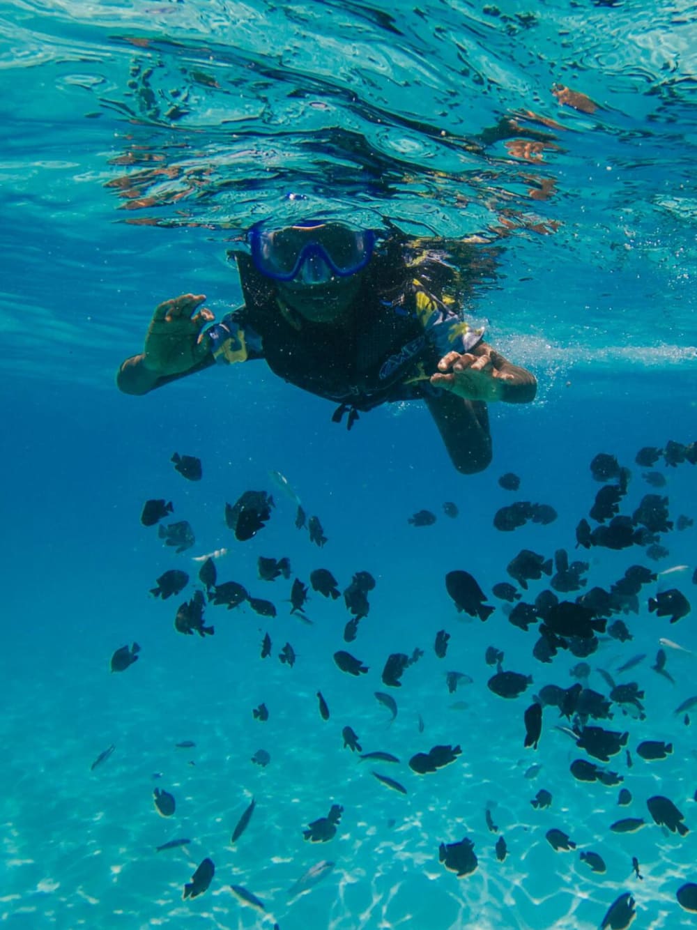Dagsutflykt med segling – Lérinsöarna, Cap d’Antibes och Cannesbukten