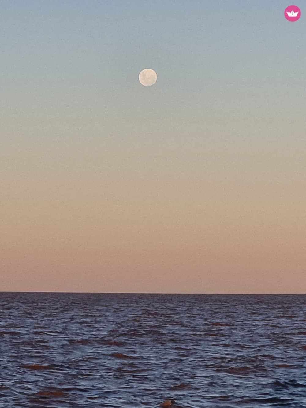 Flavors of the Delta: 5-Hour Food & Chill Boat Tour