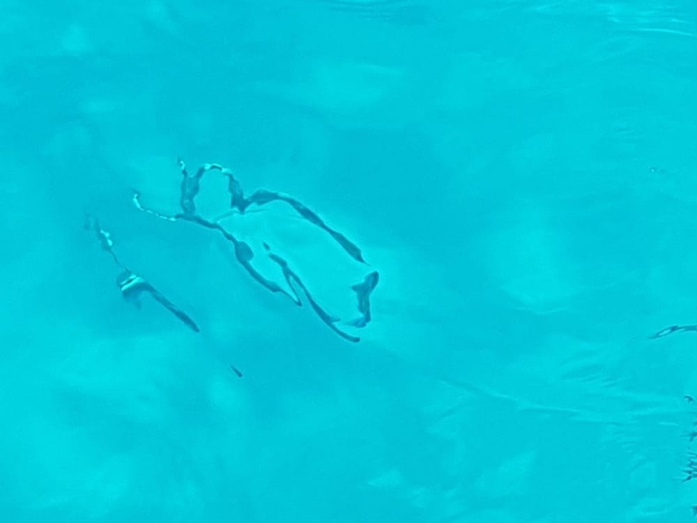 4 uur in Palermo: Huur een motorboot en geniet