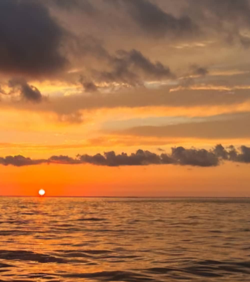 Blue Passage: Ιδιωτική μεταφορά στις Σεϋχέλλες