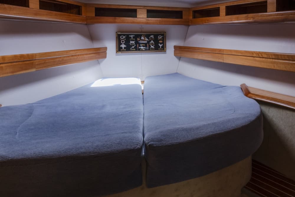 Riviera Romagnola Full Day by Boat