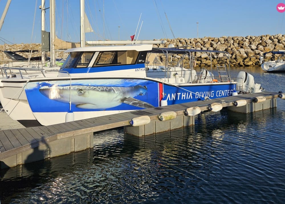 De Sesimbra ao Horizonte: Uma Aventura de Festa de 4 Horas