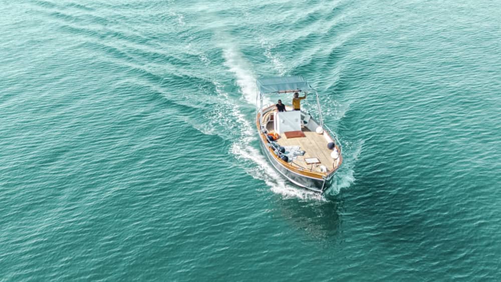 Magia do Pôr do Sol: Passeio de Observação de Golfinhos