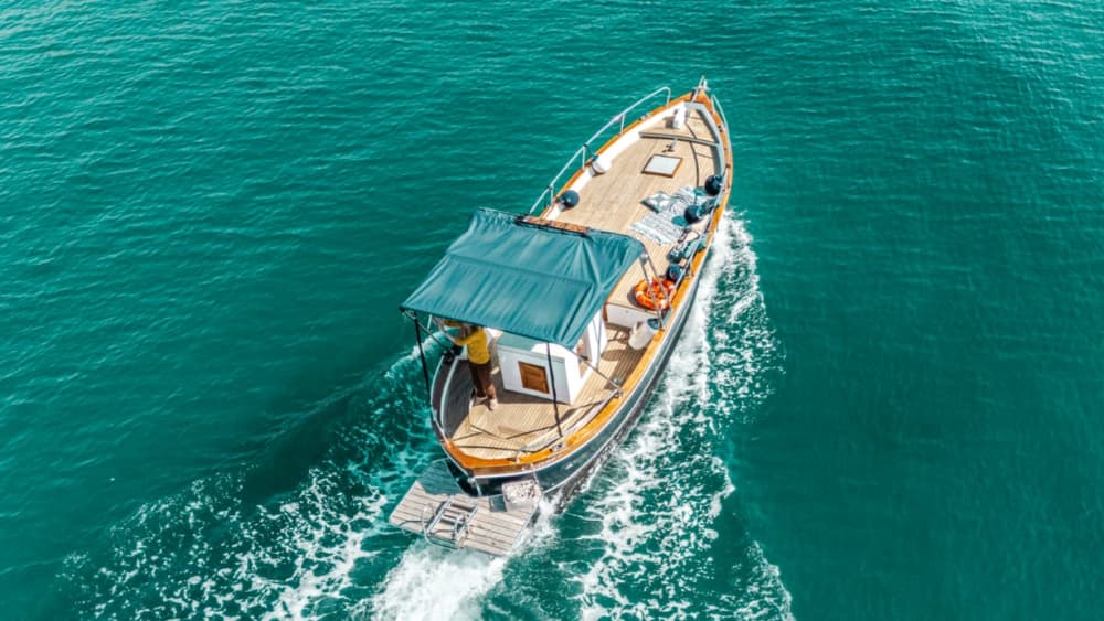 Magia do Pôr do Sol: Passeio de Observação de Golfinhos